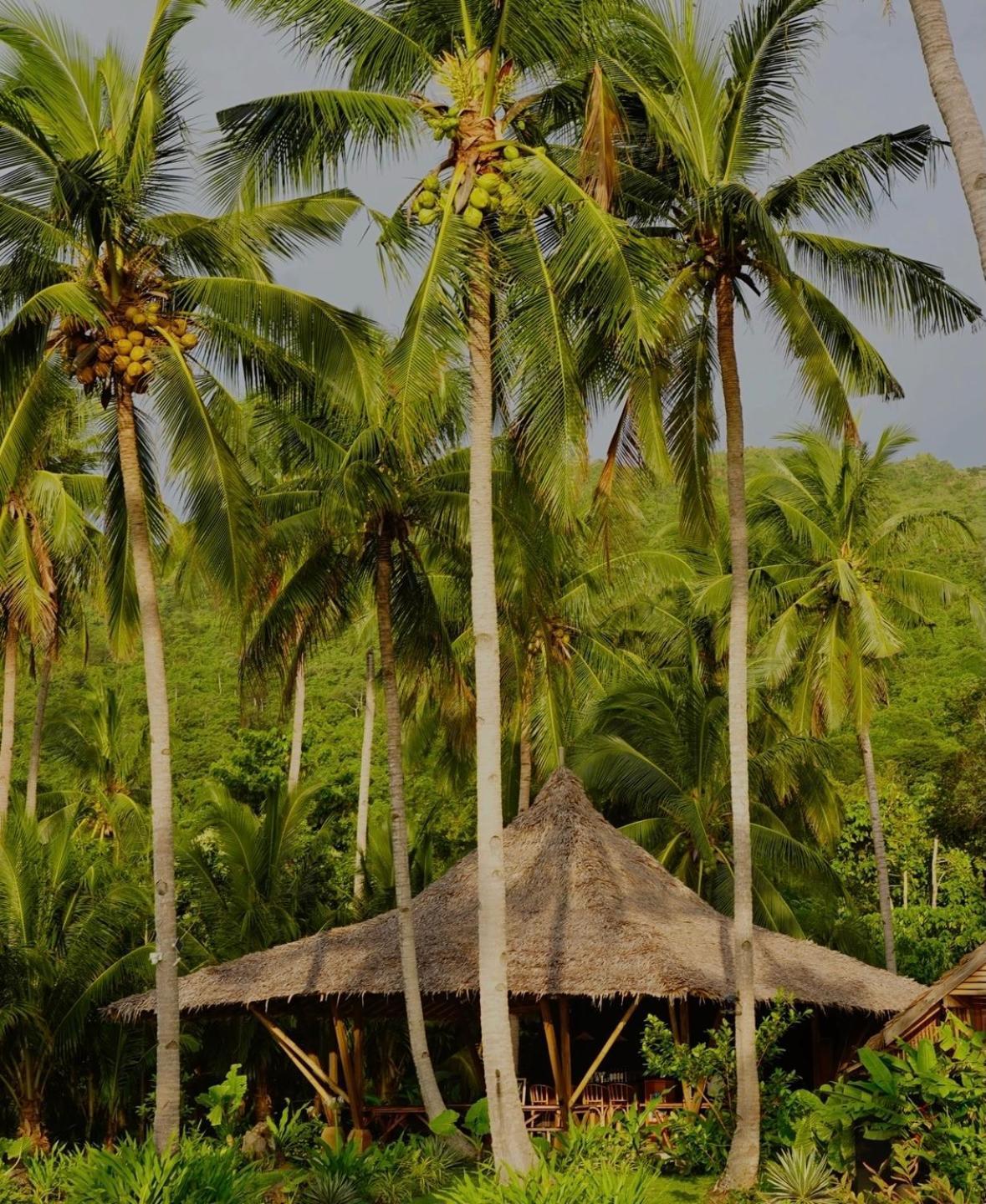 Eco Sanctuaries Nature Lodge Nacpan Beach, Ел Нидо Екстериор снимка