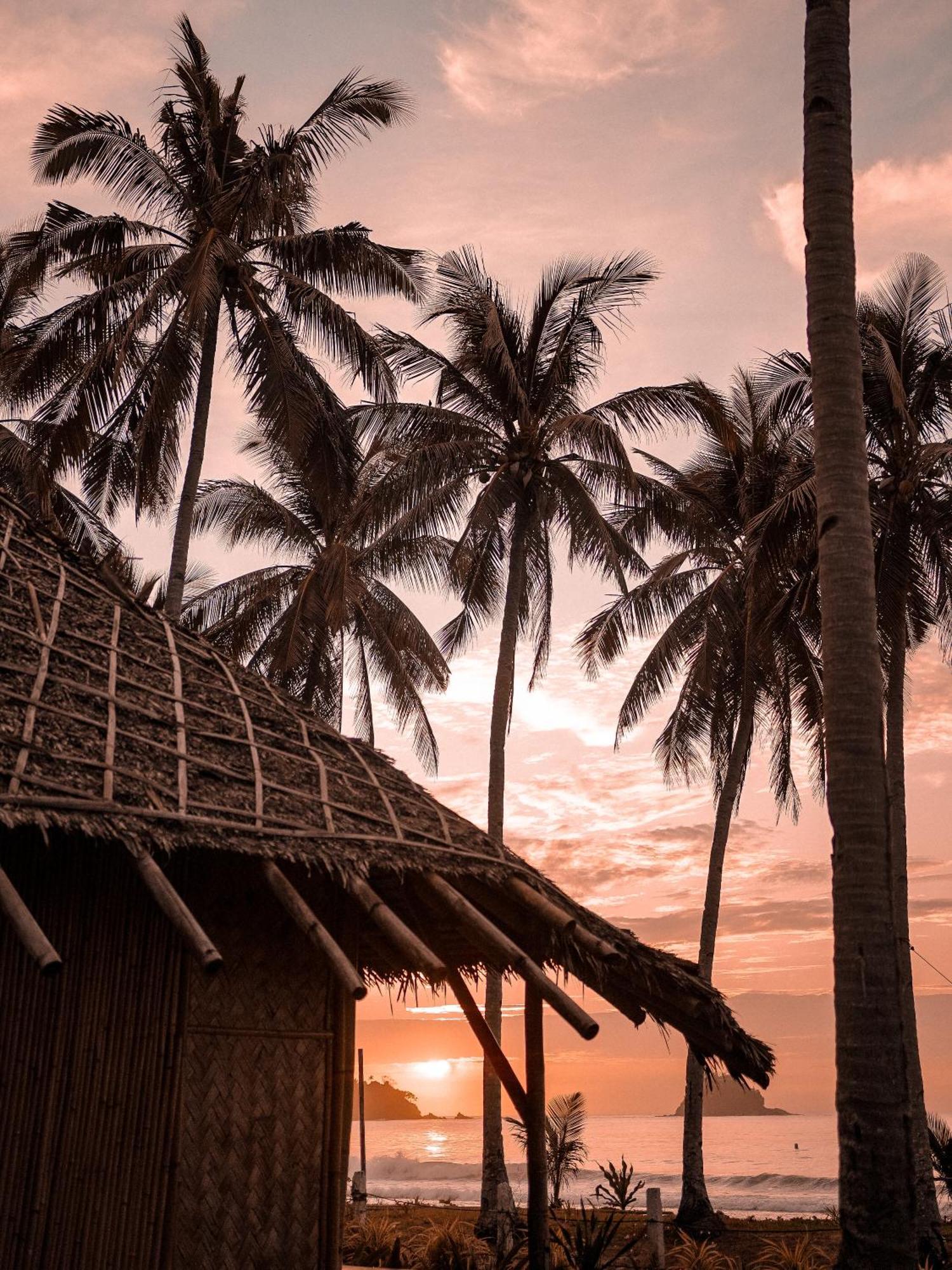 Eco Sanctuaries Nature Lodge Nacpan Beach, Ел Нидо Екстериор снимка